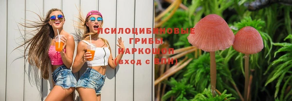 стаф Пересвет