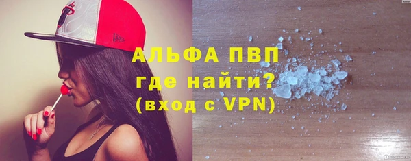 стаф Пересвет