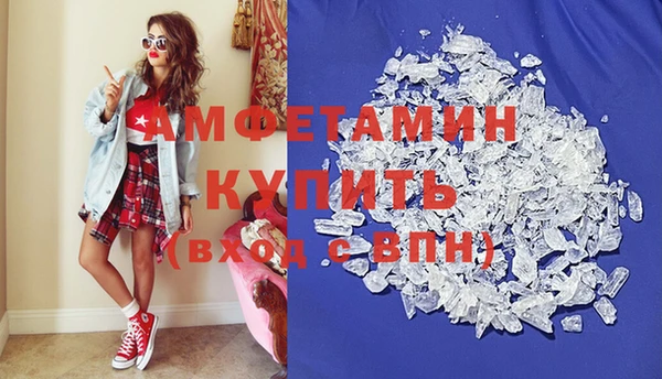 шишки Пестово