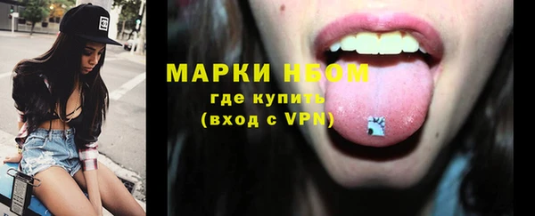 шишки Пестово
