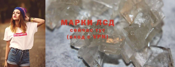 шишки Пестово