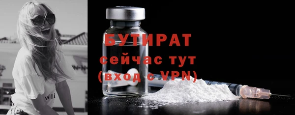 шишки Пестово