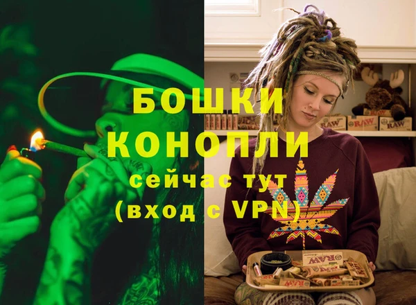 шишки Пестово