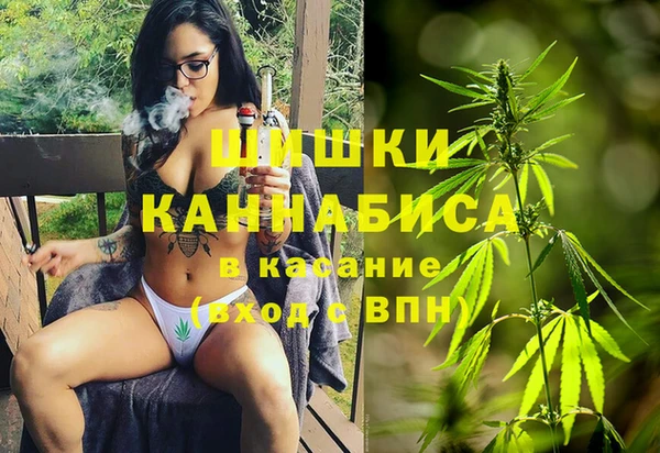 стаф Пересвет