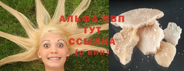 стаф Пересвет