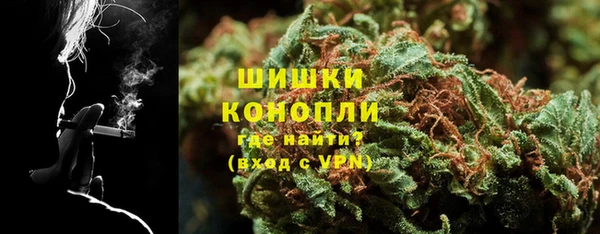 шишки Пестово
