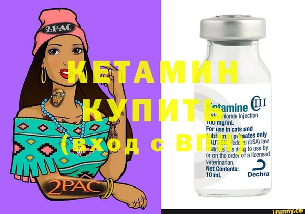 шишки Пестово