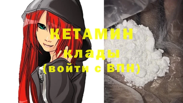 шишки Пестово