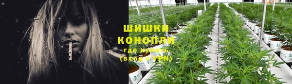 стаф Пересвет