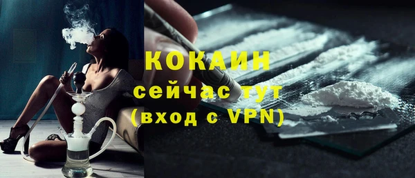 стаф Пересвет