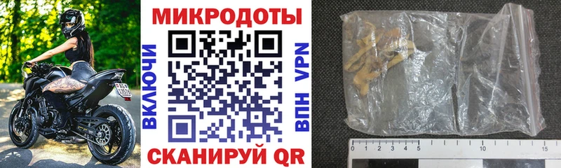 Галлюциногенные грибы Psilocybine cubensis  Советская Гавань 