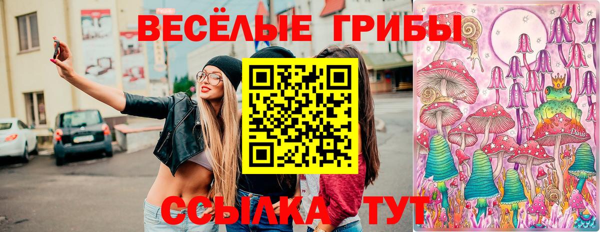 Псилоцибиновые грибы Cubensis  Советская Гавань  Галлюциногенные грибы мухоморы 