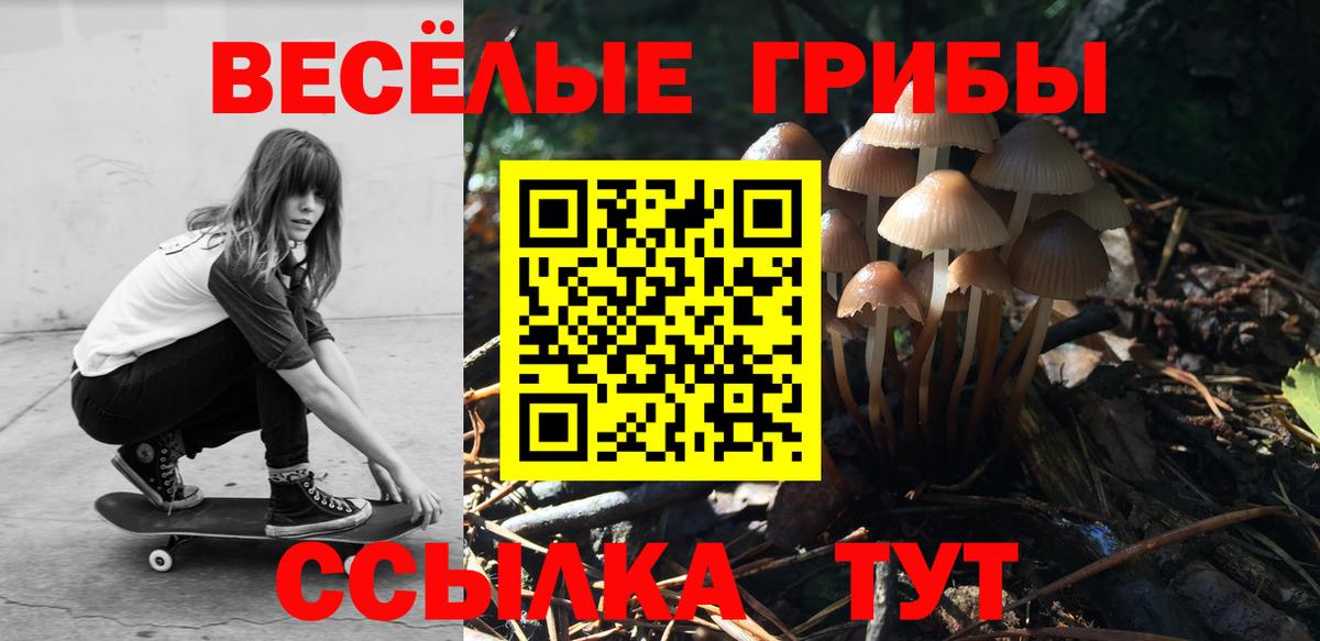 Советская Гавань  Галлюциногенные грибы Psilocybe  Галлюциногенные грибы прущие грибы  Вход с VPN 
