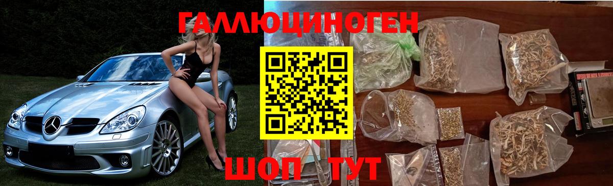 ГАШ Советская Гавань